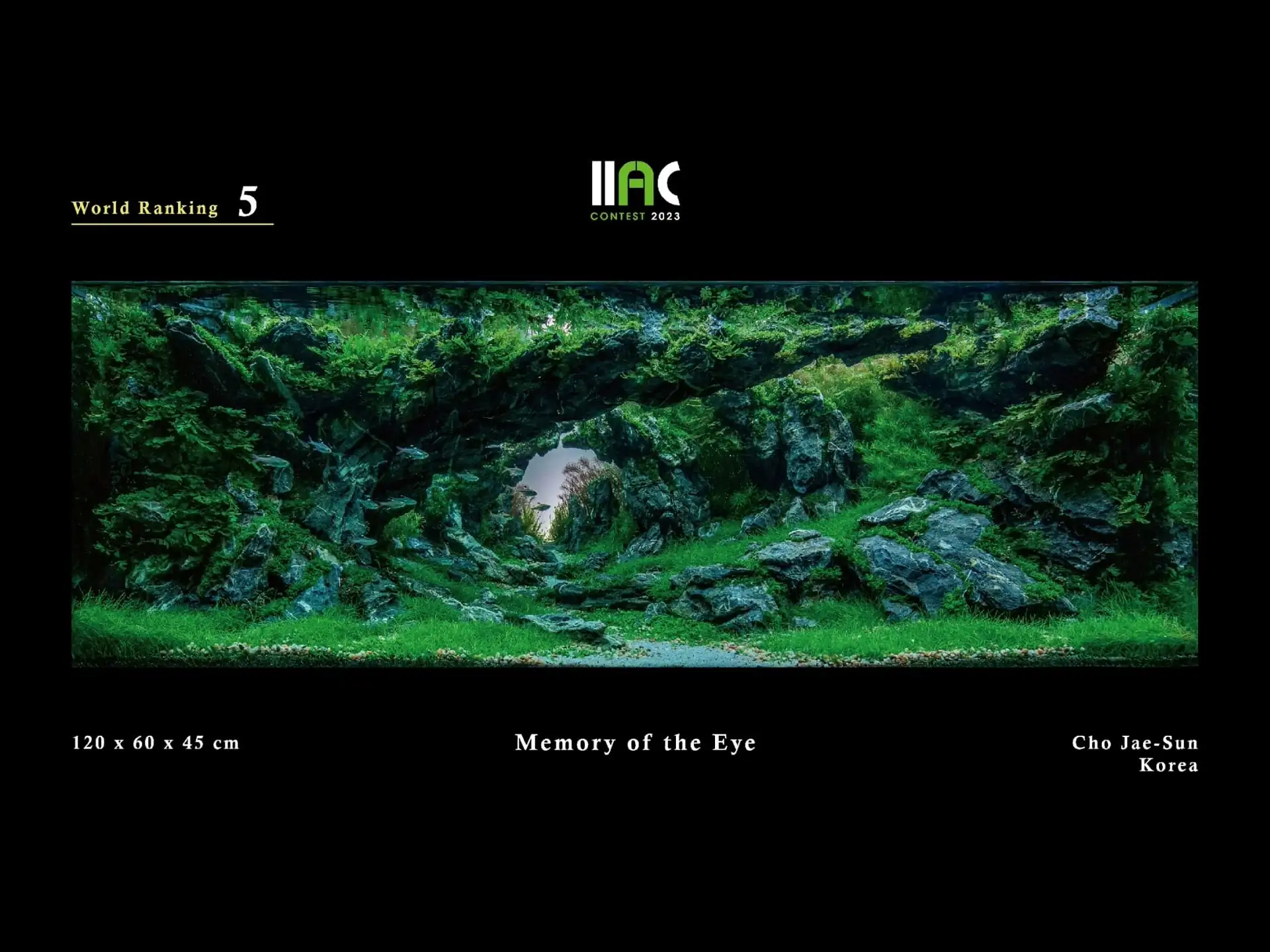 Memory of the Eye - IIAC 2023 #05 Cho Jae-Sun / South Korea